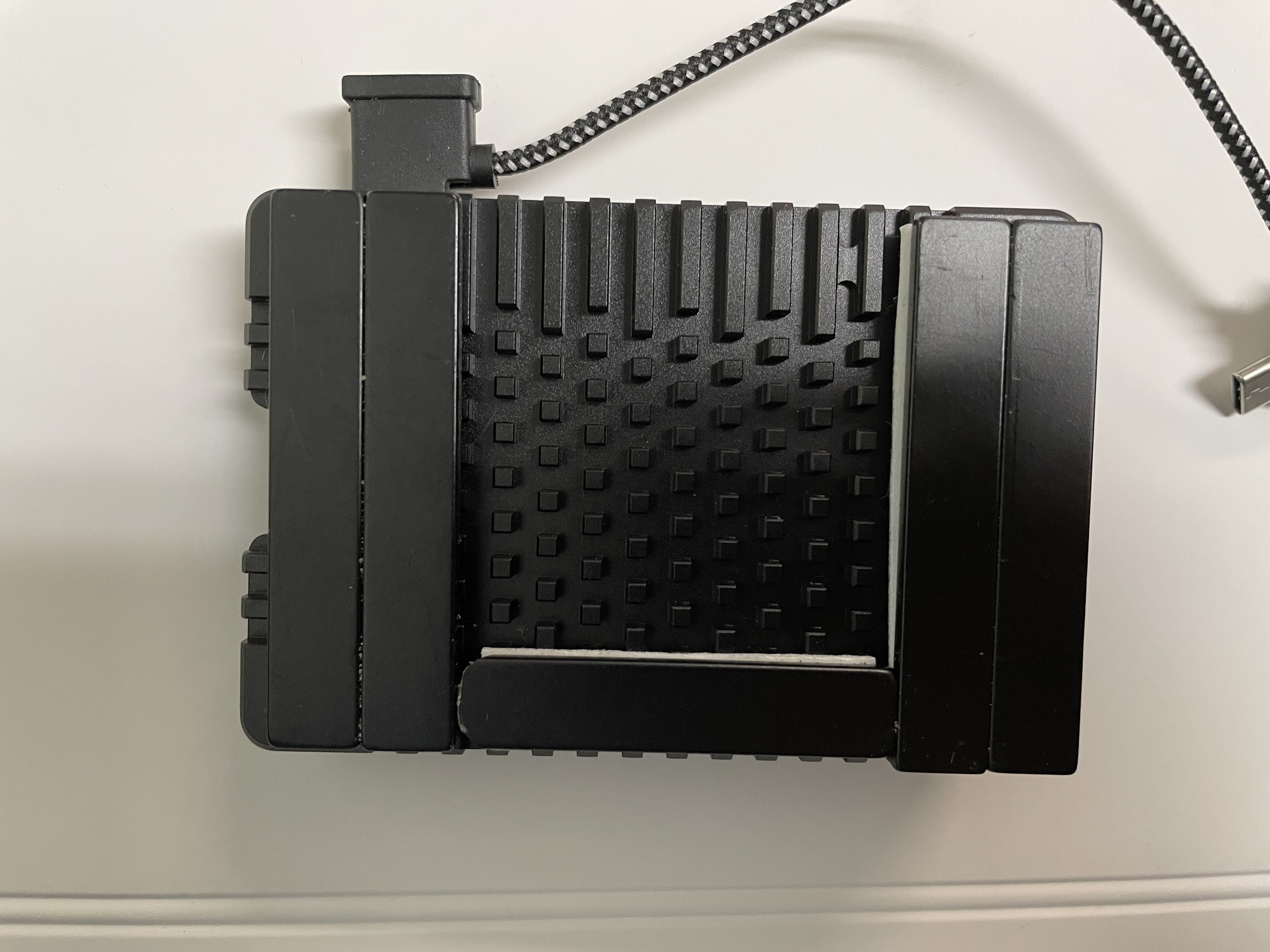 raspberry magnet